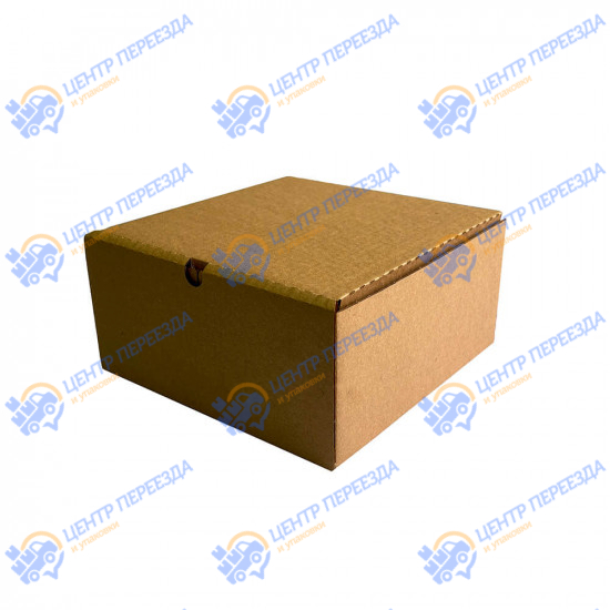 Гофрокороб самосборный 200*200*100 мм Т-22B FEFCO 0470
