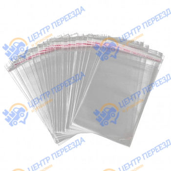 Пакет БОПП с клапаном 250x320 мм+40 мм, (100 штук в упаковке)